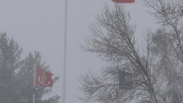 Old Glory The American flag at Veterans Park in Staples added some color to the otherwise white landscape during the snowstorm Nov. 18.