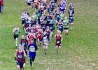 154 runners follow Emmet Anderson down a hill 400 meters into the Section 6A meet. Also visible in the front group are Tanner Robben, Ben Bartczak and Hunter Klimek. In the middle of the pack are Jack Tyrrell, Brayden Christensen and Bentley Christensen. The boys team won the race to advance to state. (Staples World photos by Mark Anderson)